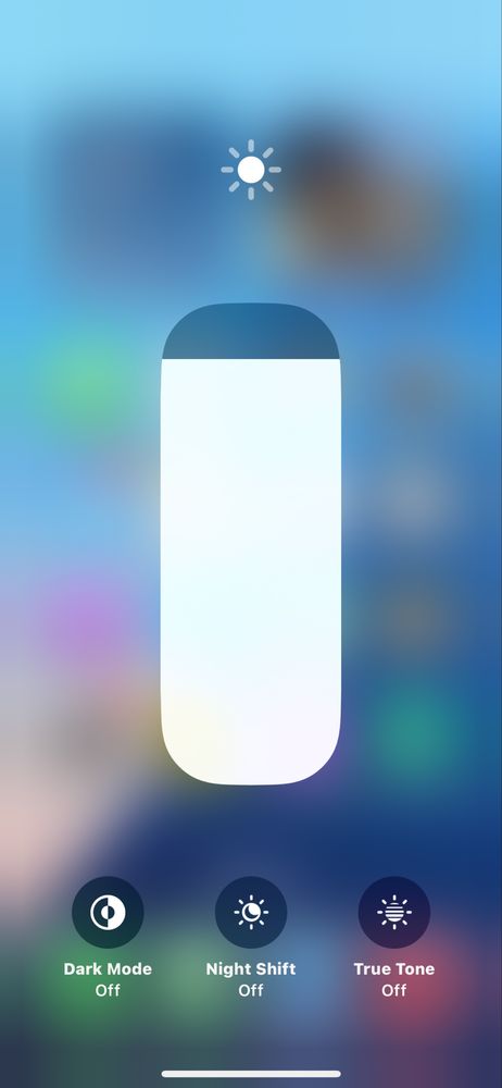 iPhone Xs Max 256/100%