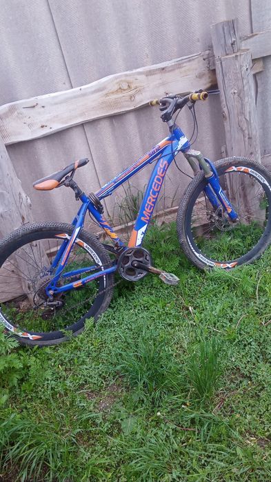 Великтер жағдайы өте жақсы