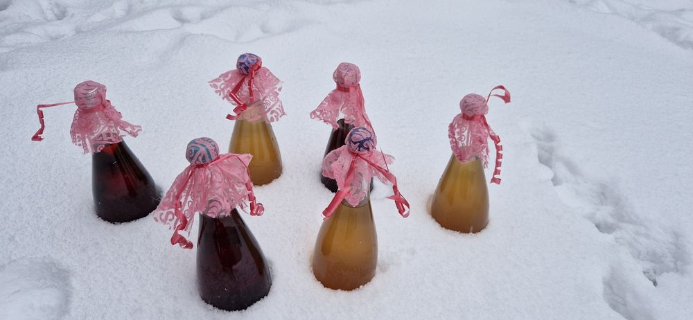 Sirop de brad cu molid si sirop de soc