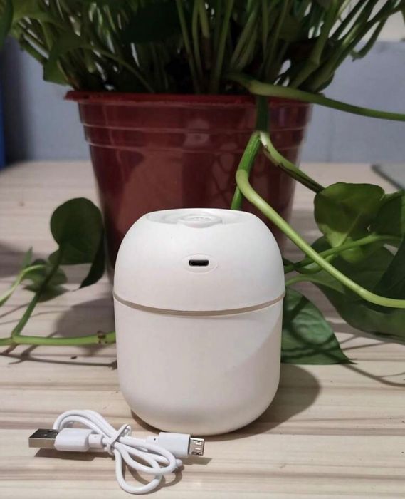 Дифузери и ароматерапевтично масло