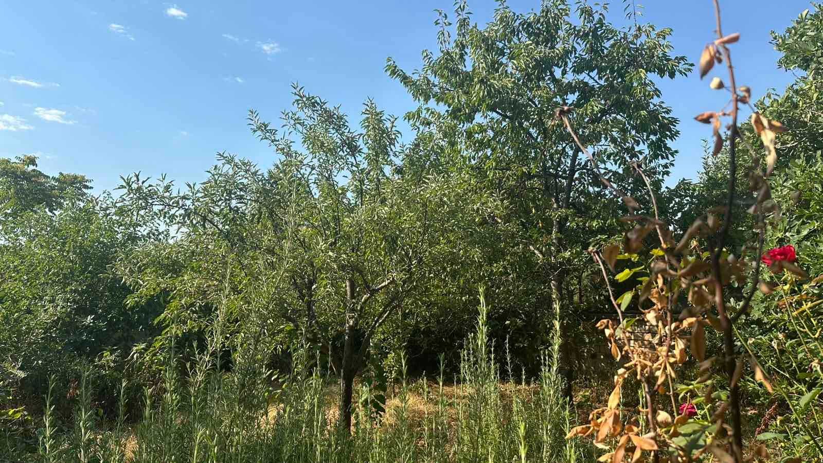 Продава се: Двуетажна къща РЗП 166 кв.м, двор 501 кв.м в град Карлово