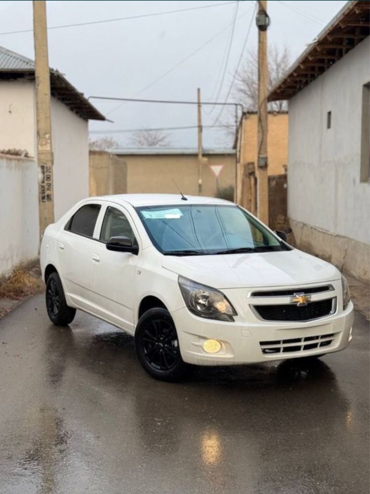 Masla cobalt Midnight. Bugun chiqti