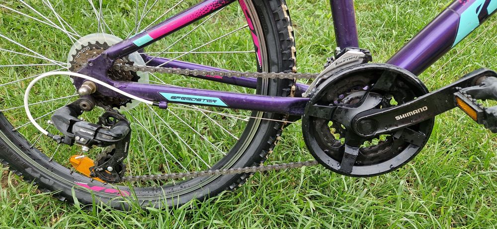Bicicleta MTB Cross Speedster fete