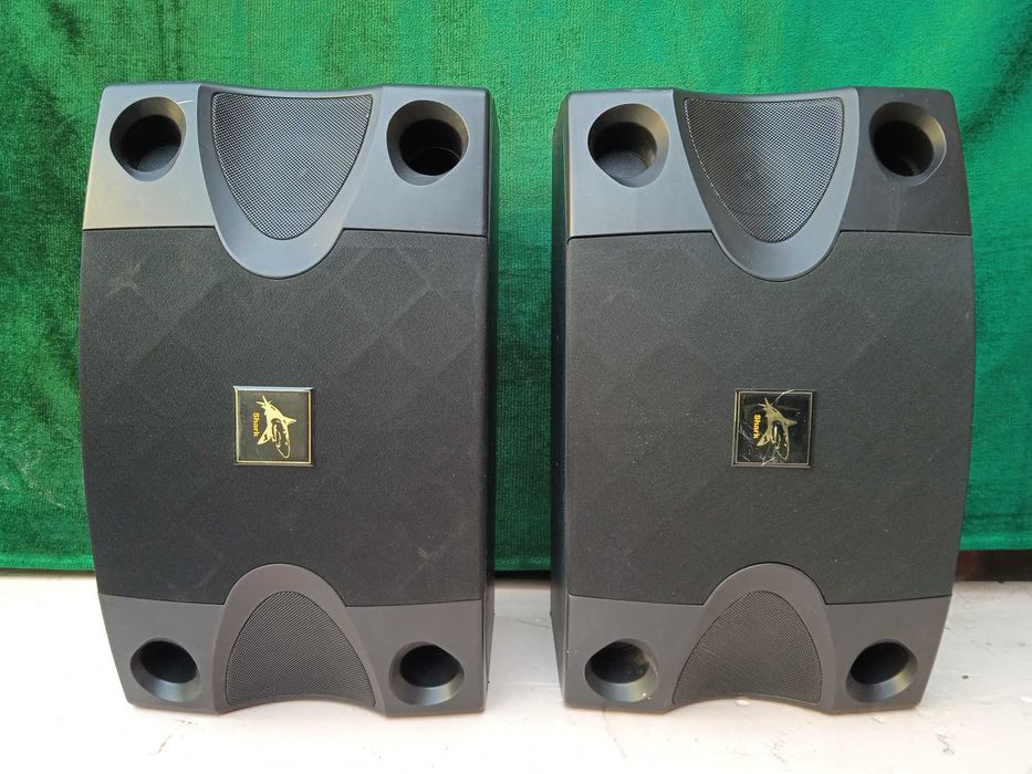 Караочные колонки 8" по 100W