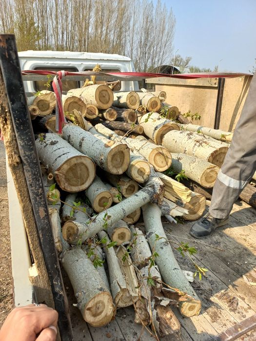 Продам дрова Газель 30 тыс