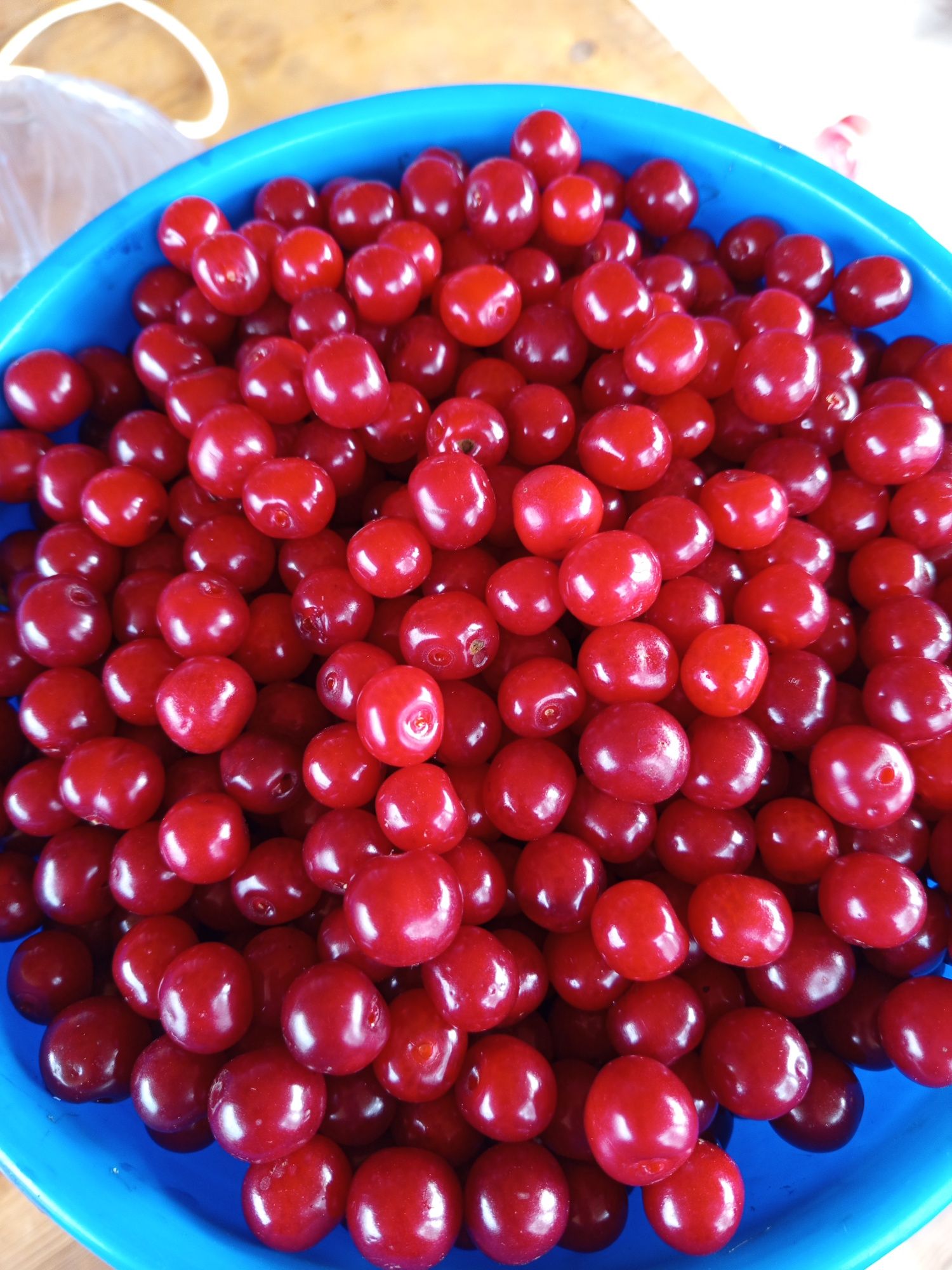 Продам вишню домашнюю свежую