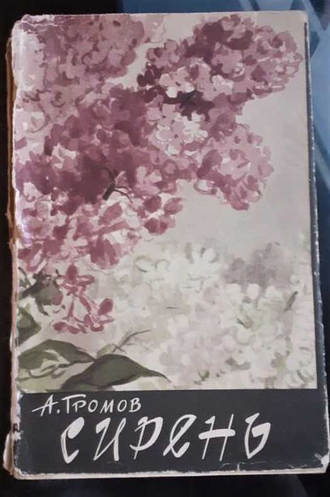 Сирень Громов А. 1963г.