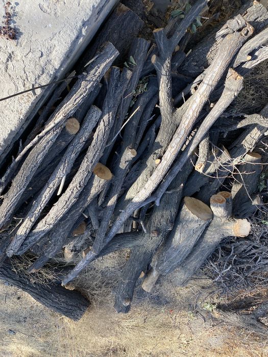 Бревна и ветки на дрова бесплатно, самовывоз.