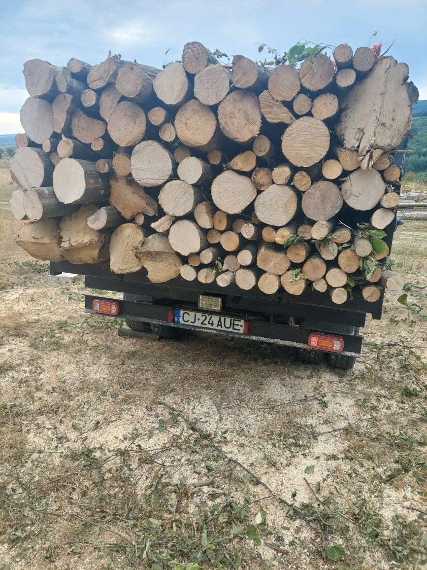 Lemn de foc esenta dorita