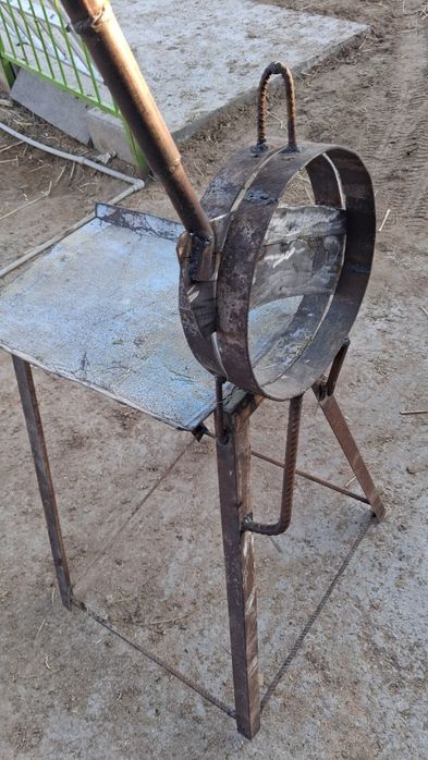 Шөп турайтын жоңышқа камыс