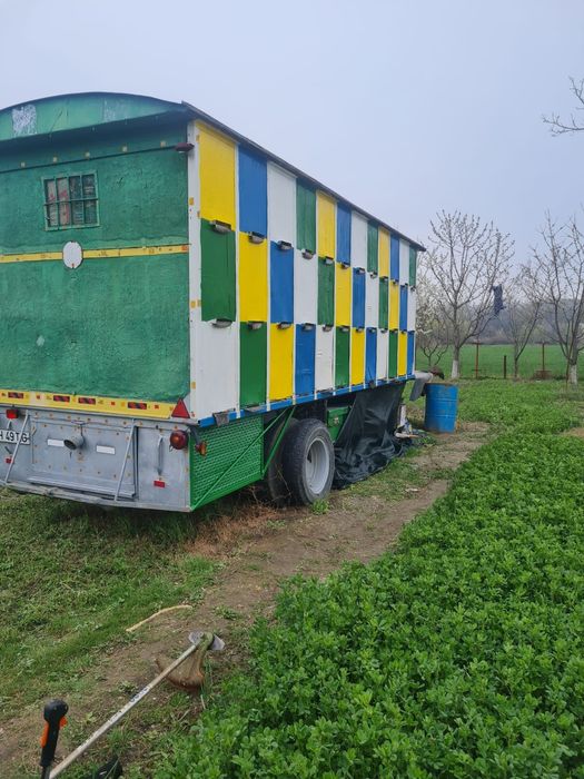 Vând pavilion apicol.