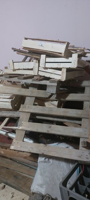 ОТЫН ДРАВА агаштар