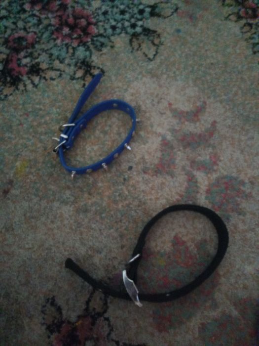 Zgărzii pântru câini medii