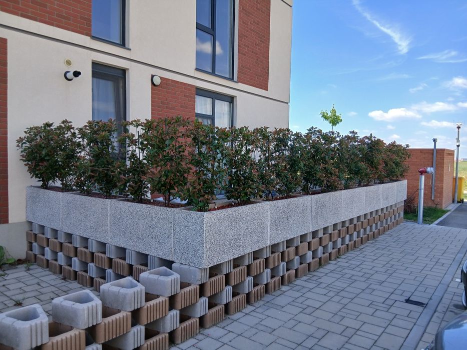 Jadiniere, ghiveci mozaic spălat