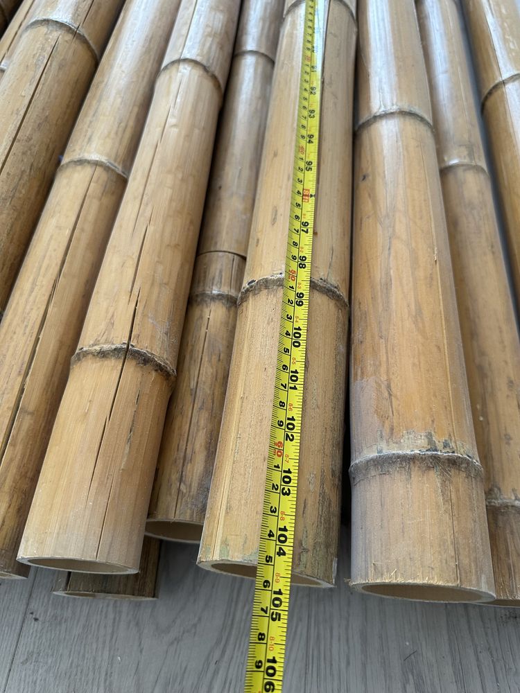 Бамбук для декора интерьера