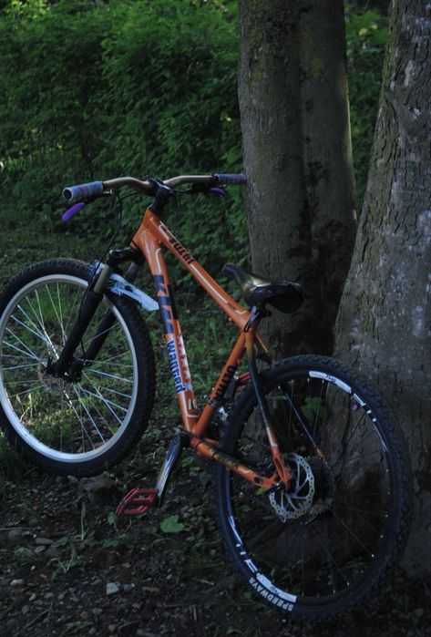 MTB Custom KTM Mullet