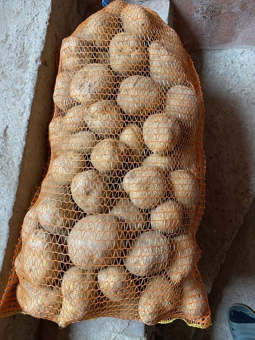 Cartofi consum alb si rosu