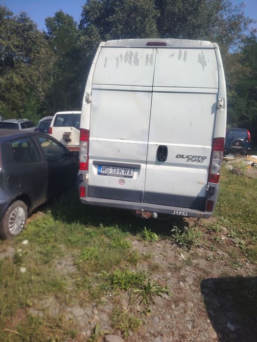 FIAT Ducato maxi 17 M3