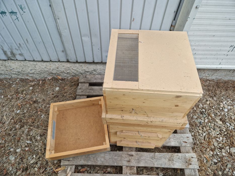 Stupi albine din lemn - Layens