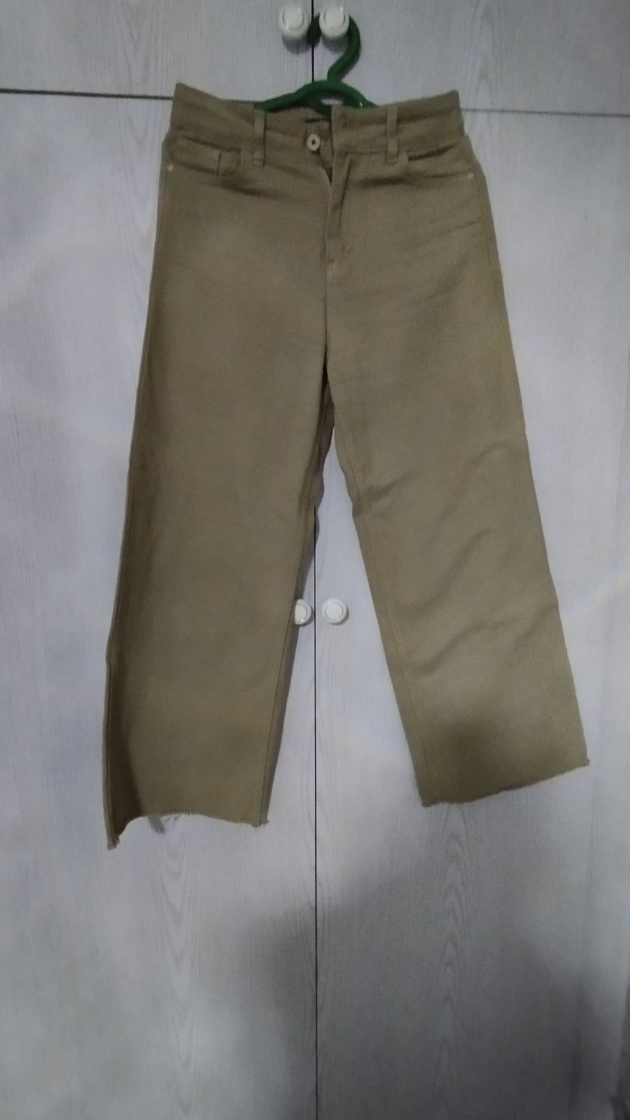 Ayollar jinsi shimi