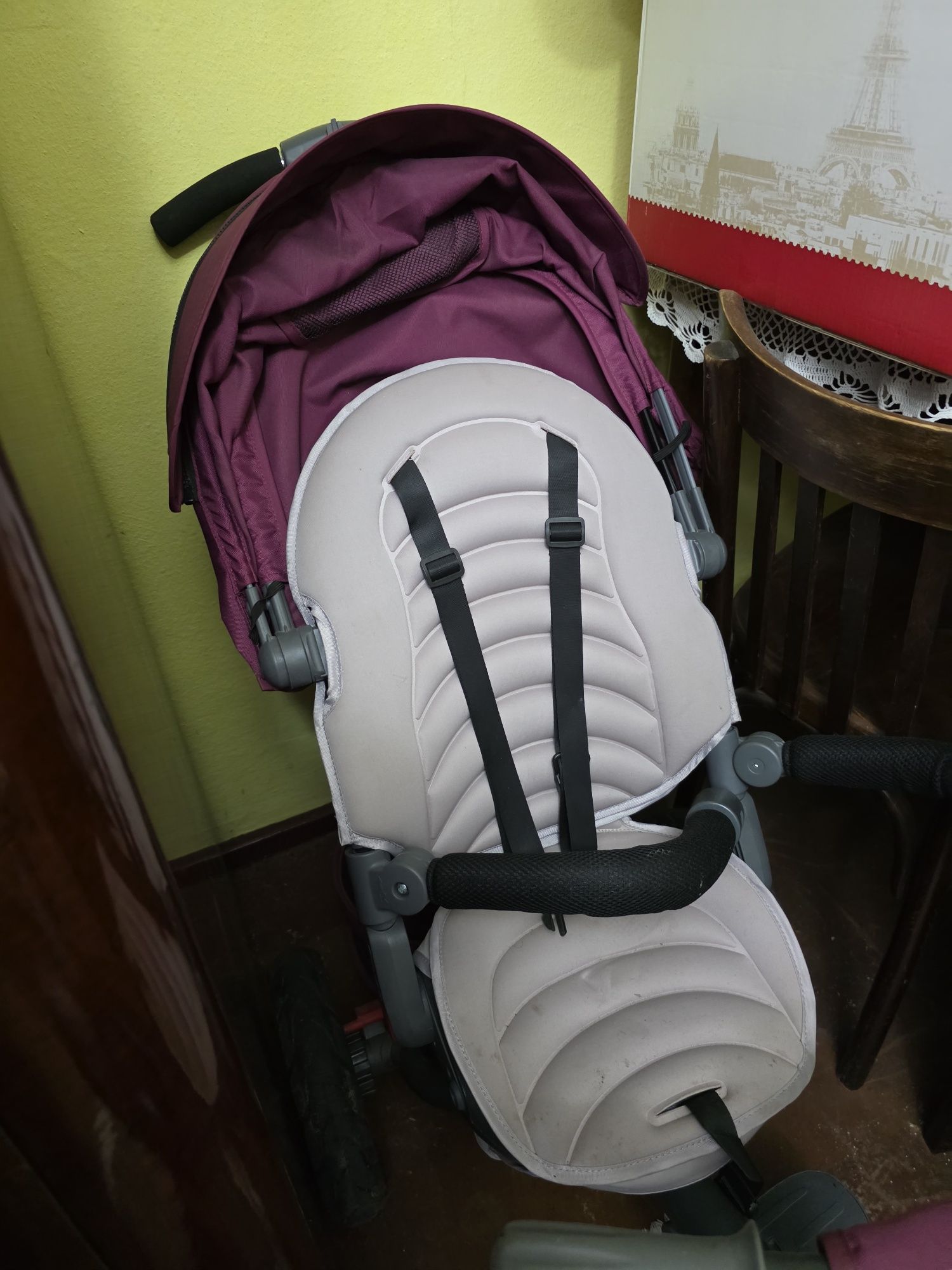 Tricicleta multifunctionala pentru copii Corso, +9 luni, Violet, Cocco