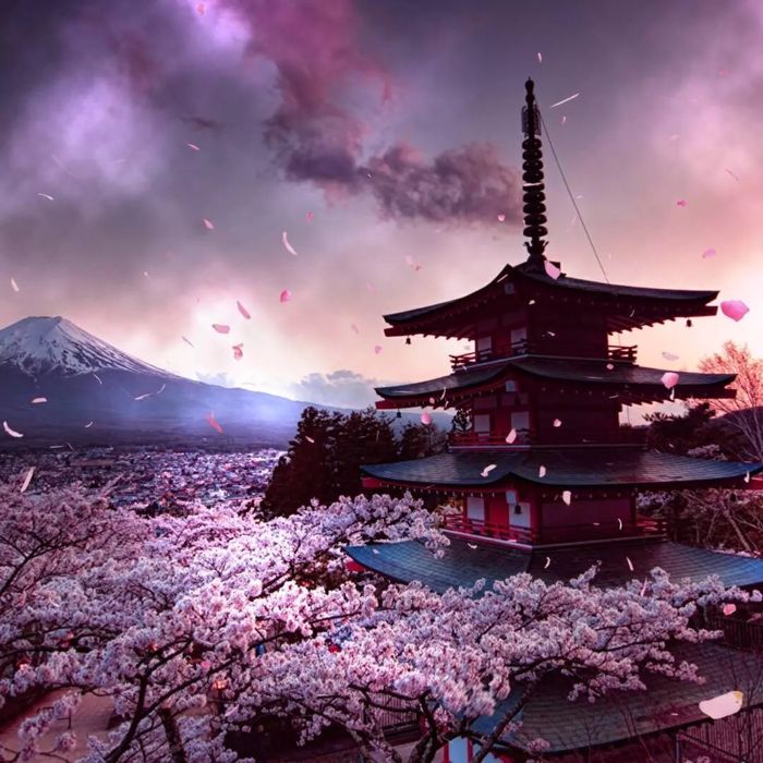 Буду выгуливать собаку по выходным