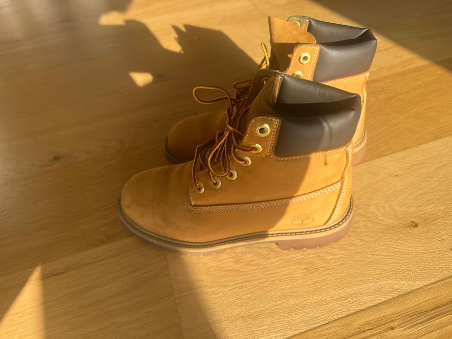 Bocanci Timberland