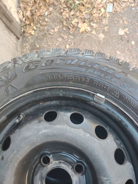 Зимний шина. Зимний балон