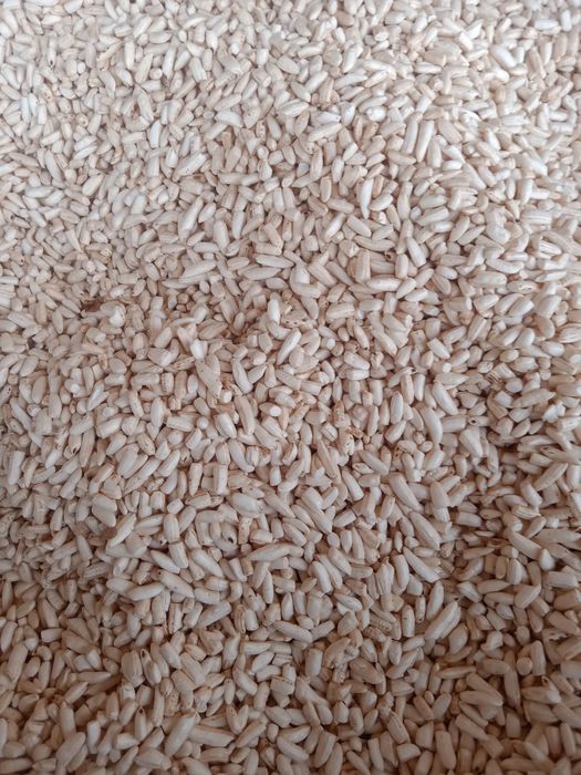 Aparat. maka va guruch bodroq qiladi