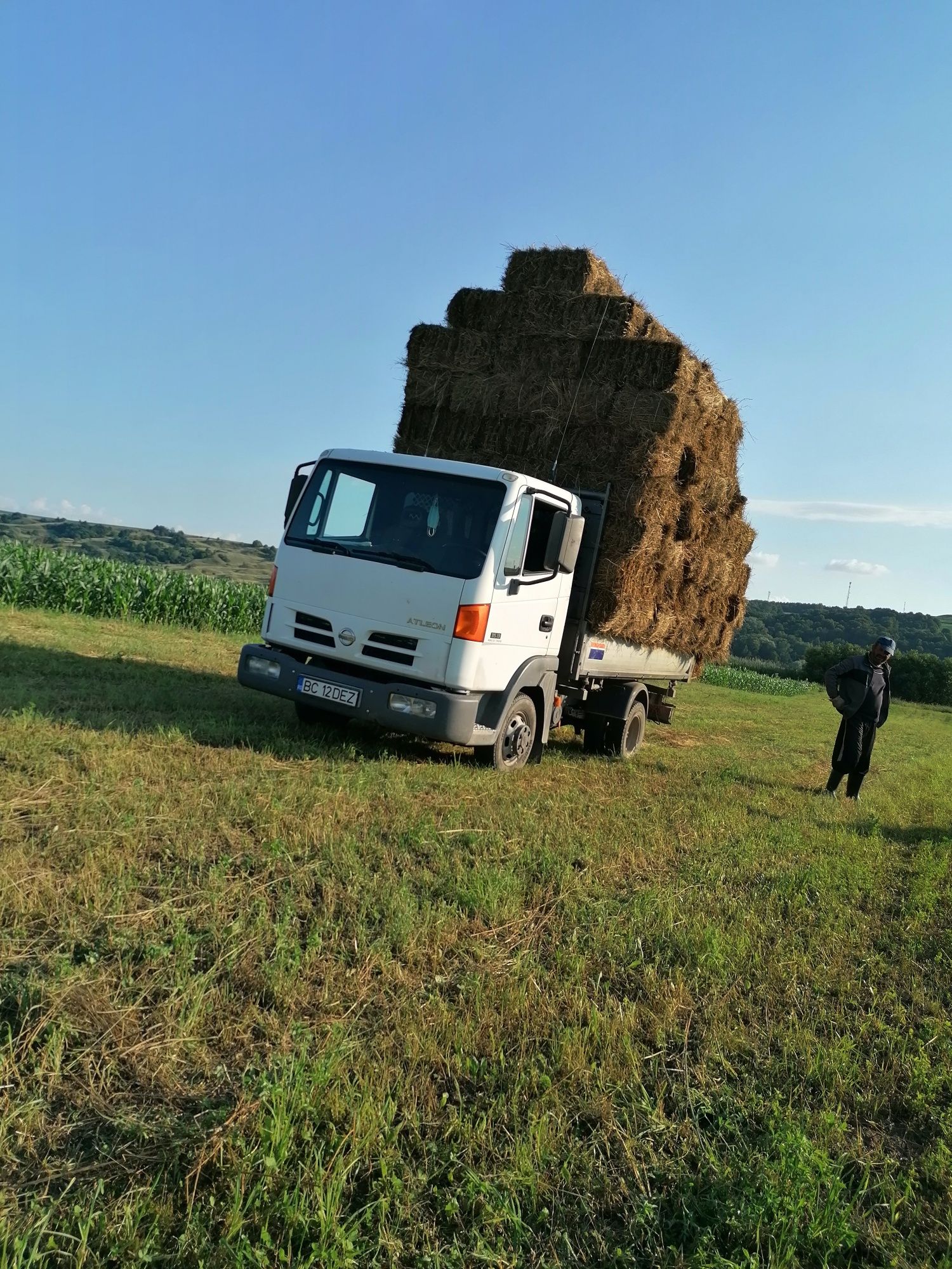 baloti , fîn 20. ron, , ghizdei 25  ron ofer transport