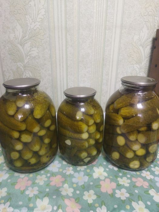 Продам Огурцы Маринованные Домашние Этого Года Цена 1800тенге
