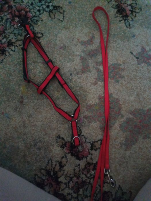 Ham confortabil cu lesă inclusă, potrivit pentru câinii mici/medii