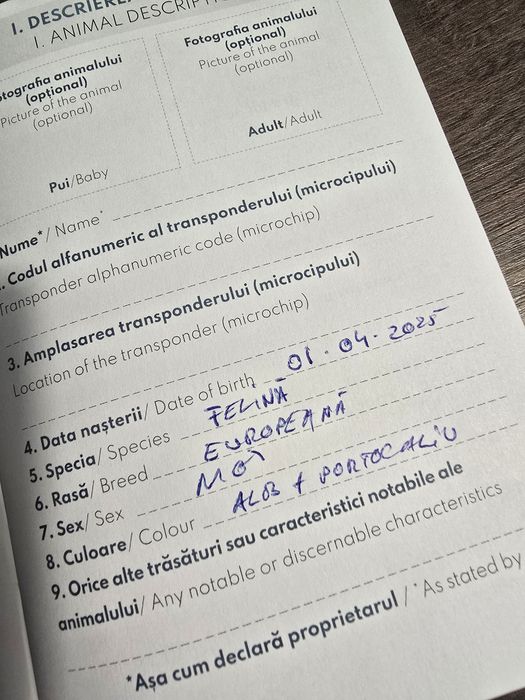 Donez motan 6 luni