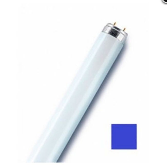 Лампа синяя Osram 1,2м