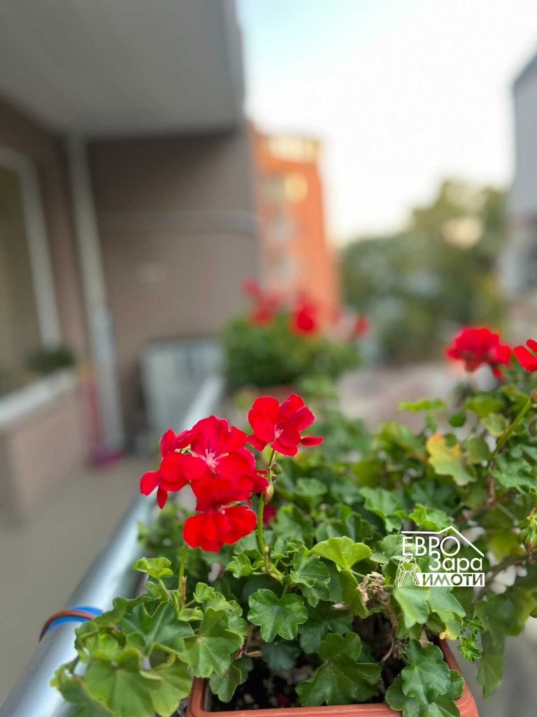 Продава се Тристаен апартамент в Стара Загора, Аязмото - 87 кв.м за 1976 €/кв.м - Снимка #9