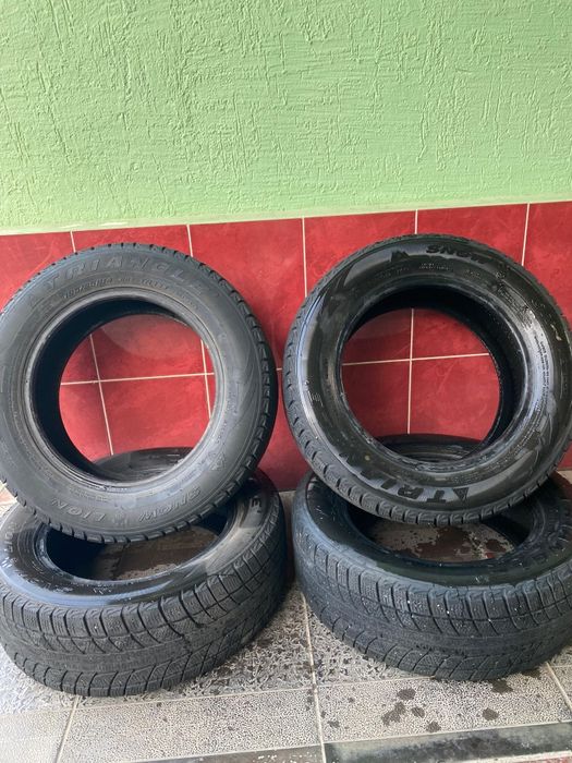 Зимние шины Triangle