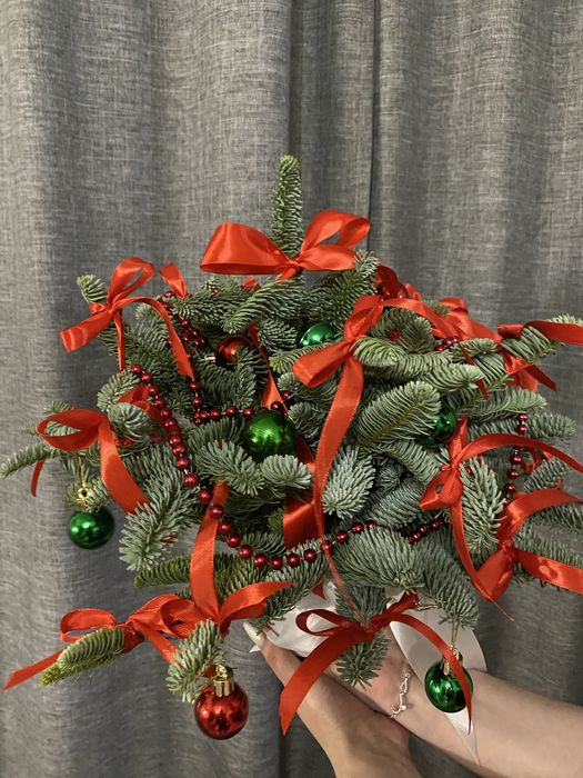 Елка композиция из Нобилиса