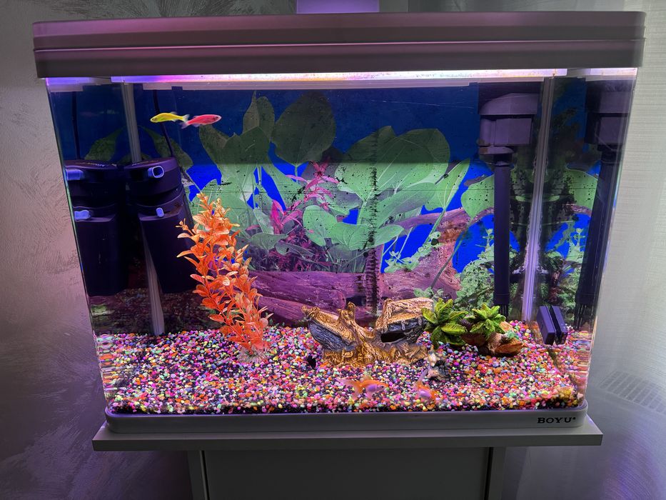 Acvariu  Boyu incorporat cu comoda