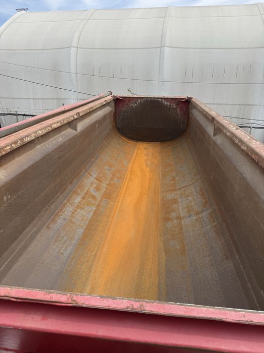 Man TGX 440/ Semiremorca Schwarzmuller