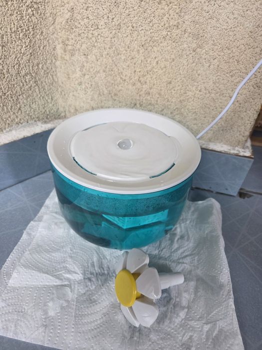 Fantana apa animale companie pisici catei