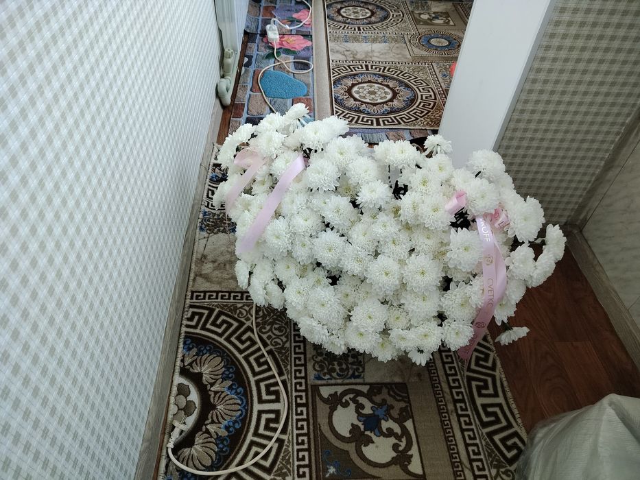 Цветы ромашка  в корзине живые