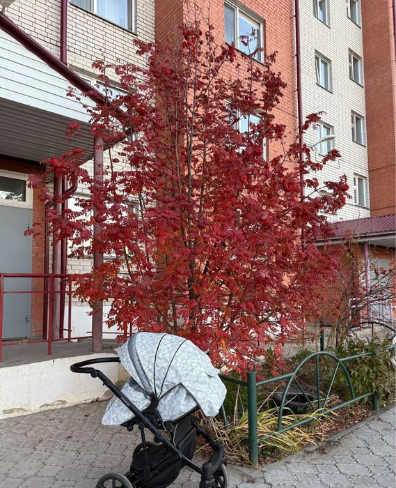 Продам коляску фирмы Confort