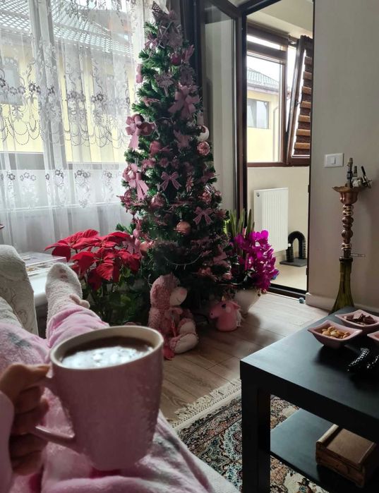 Inchiriere Apartament 3 Camere Dobroesti | Parcare | Pet Friendly