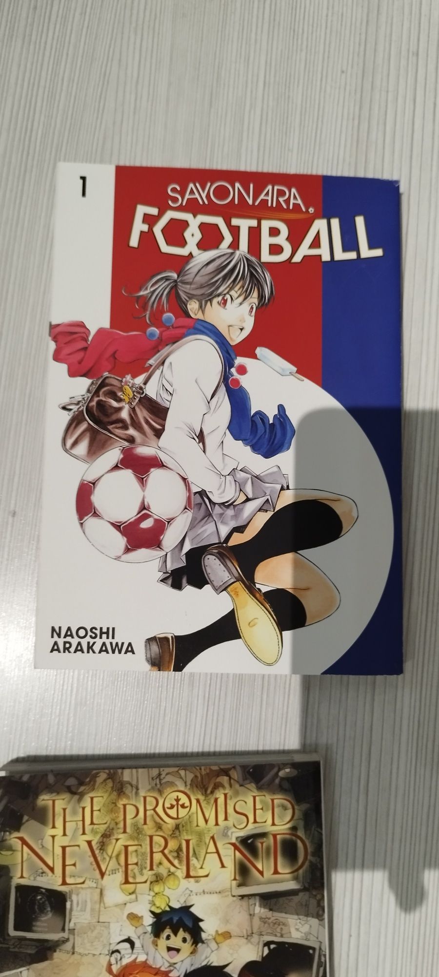 Anime - mamga книги