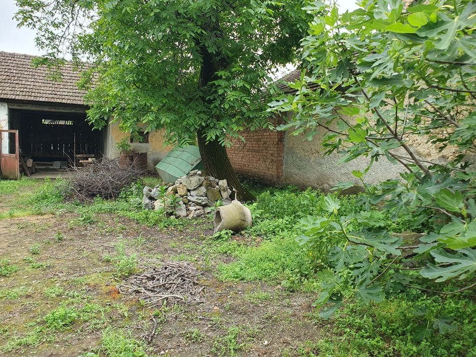 Vând loc casa in Moldova Veche suprafața 680mp