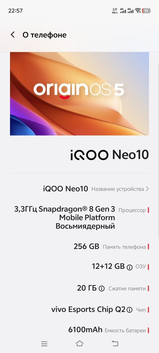 IQOO Neo 10 12/256GB