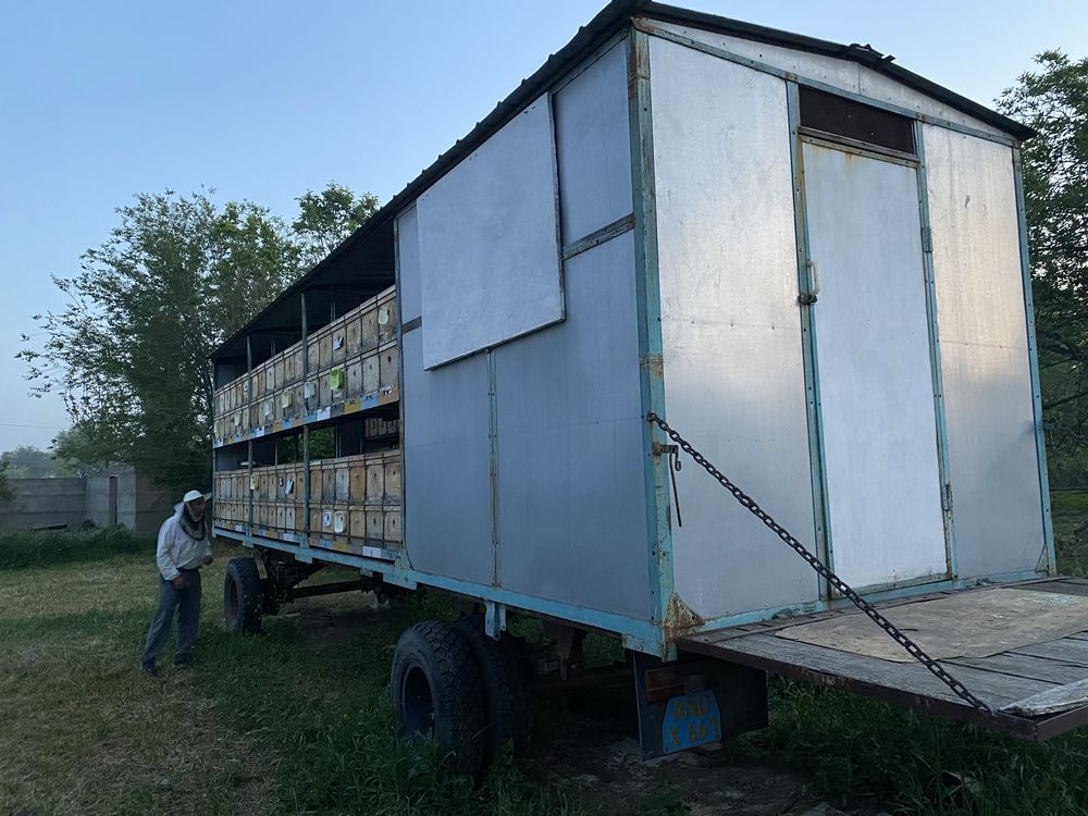 Прицеп пчеловодческий, пасека, пчелы