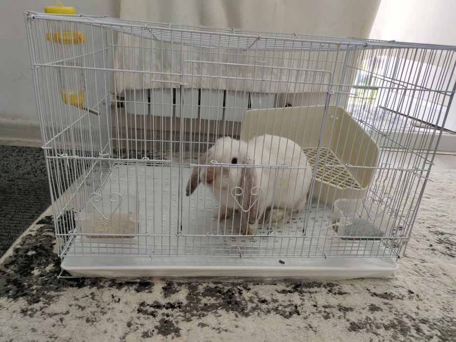 Продается клетка ,поильник, ковер, горшок