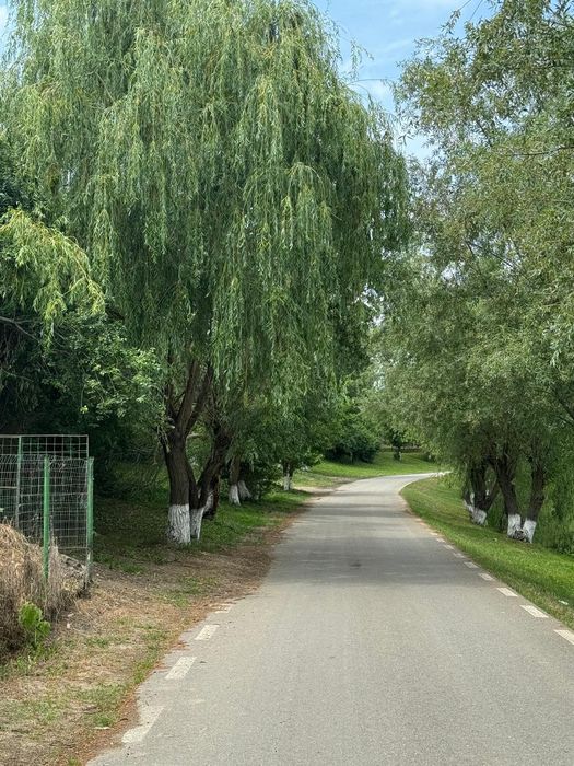 Comana- Giurgiu, teren intravilan