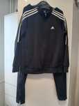 Trening Adidas Original
